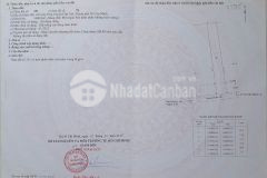 Bán đất mặt tiền duyên hải, long hòa, cần giờ 1.400m2, giá 56 tỷ.