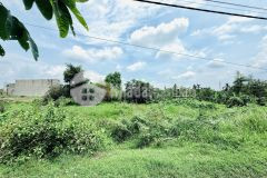 Đất vườn giá rẻ, 4.405m2 bình mỹ củ chi giá chỉ 5trm2