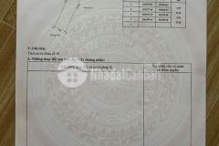 Đầu tư sinh lời đất thổ cư tràng cát, hải an, hải phòng