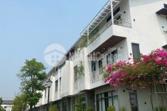 Dahlia ecogarden huế sở hữu nhà vườn đẳng cấp giữa lòng thiên nhiên