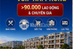 Có nên xuống tiền sở hữu căn hộ vlasta thủy nguyên lúc này hay chờ thêm