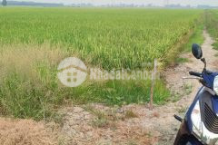 Bán đất tân thạnh, long an tdt 44000 m2 shr 15 tỷ. lh0989327777 mr.quốc
