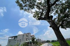 Bán đấu giá chính lương tài, 117,5m2, đường to, kinh doanh tốt 0828218468
