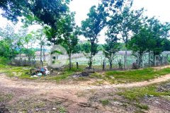 1,1 ha đất hẻm bên sông pré, phú hội cũ, đức trọng, lâm đồng