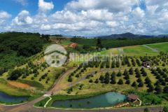Đất nền nghỉ dưỡng full thổ cư bảo lộc giá từ 1,35 tỷnền, sổ hồng riêng view đẹp