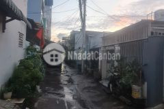 Cần bán miếng đất cây lâu năm hẻm xe hơi đường 4,trường thọ.thủ đức 232m2 giá 8ty tl