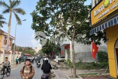 Bán đất mặt phố tây hào, ph ngọc châu, tp hải dương, 75m2, mt 5m, kd buôn bán tốt