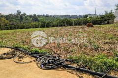 Bán đất nền hẻm bê tông ngay trung tâm xã ninh gia,đức trọng,lâm đồng chỉ 800trnền