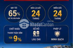 Bỏ hơn 5 tỷ nhận dòng tiền ngay nhà đầu tư đang chọn vlasta thủy nguyên