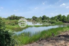 Cần bán 3000m2 đất nông nghiệp tp thủ đức, giá 5 tỷ 1 công. lh0918372372.