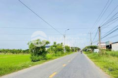 Bán nền thổ 5x33 mt tl833b kế bên ubnn, trường học, chợ tại lạc tấn long an