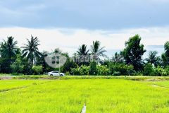 Bán nền thổ cư 5x36 mt nhựa thanh phong cách tl 833 500m tại bình lãng tân trụ