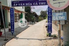 Bán đất trung tâm xã phú thạnh 1286m² có 300m² thổ cư, đường cả thu xe hơi tới đất