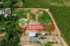 Bán đất diên xuân giá rẻ gần khu du lịch nhân tâm cũ đường bê tông ô tô tận nơi