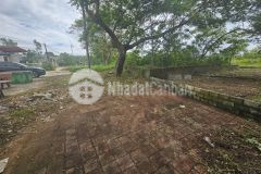 Ban gân 500m2 thô cư, xuân quan, văn giang,măt tiên rông đê phân lô hay xây bt