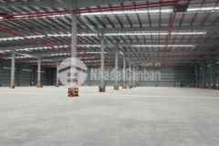 Cho thuê kho, nhà xưởng 700m² tại hoà khánh sẵn pccc tự động giá tốt chỉ 40 triệutháng