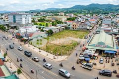 Quái vật thổ cư tân văn sở hữu 1900m² đất khủng mặt đường 16m, sẵn kỷ lục 890m² đất ở