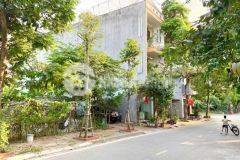 Bán đất mặt phố lê văn hưu, khu vạn lộc, ph tứ minh, tp hd, 74.25m2, mt 4.5m, giá chỉ 3.3 tỷ
