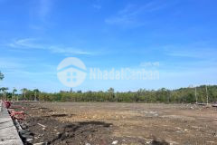 Đất long hòa cần giờ diện tích lớn, thổ cư 100, thích hợp xây biệt thự nghỉ dưỡng, homestay