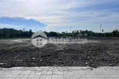 Đất nền ven biển cần giờ diện tích lớn 200m² 400m², phù hợp xây biệt thự nghỉ dưỡng