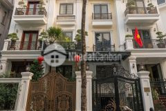 Thua bóng bán gấp biệt thự kđt tân tây đô gần noble palace tây thăng long 180m2 chỉ 19.x tỷ