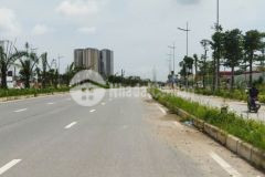 50m2 đất phân lô, 2 thoáng trước sau, cuối trịnh văn bô, phân lô, ôtô kinh doanh, nhỉnh 8 tỷ