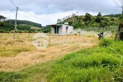 Bán 46.000m2 đất nông nghiệp xã tà hine,đức trọng,lâm đồng,bán chỉ 6 tỷ