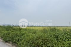 Chuyển nhượng 16.000m² đất khu cn quế võ 3, lô góc, bàn giao ngay.