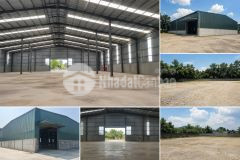 Cho thuê nhà kho 800m² tại hòa vang tặng kèm 600m² đất trống chỉ 50 triệutháng