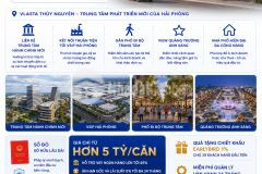 Vlasta thủy nguyên cơ hội chỉ đến với nhà đầu tư thông thái