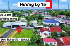 Giá đầu tư bung 20 nền ngay ubnd phường tân triều 1 sẹc hương lộ 15