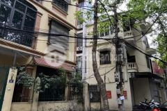 Bán nhà tô vĩnh diện, phân lô lô góc ô tô vào nhà, 54m2, mt5.9m, chỉ 15.5 tỷ