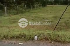 Bán gấp đất mặt đường tỉnh lộ tại huyện hiệp hòa, long an, cách tp hcm 30km 6.8 tỷ 998m2