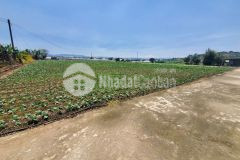 Bán 2.500m2 đất mặt đường bê tông lạc lâm, đơn dương,lâm đồng chỉ 1.7 tỷ