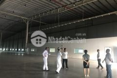 Cho thuê kho logistics 6.000m² tại khu công nghiệp yên phong bắc ninh, giá tốt