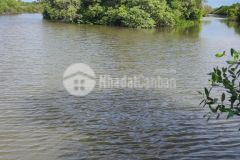 Bán đất nuôi thủy sản xã thới thuận, vĩnh long 10tỷ 10hecta. lh0822926269.