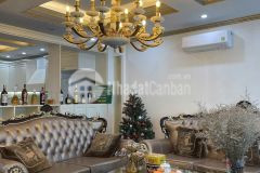 Bán siêu phẩm nhà tôn thất tùng 7 tầng thang máy long lanh lô góc ô tô kinh doanh đống đa