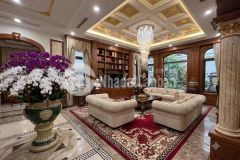 Lỗ ck bán gấp nhà vườn geleximco gần siêu thị aeon 120m2 chỉ 16.x tỷ. lh 0989626116
