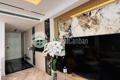 Sợ mua nhà lỗi phong thủy hay dính quy hoạch bán nhà phân lô tô vĩnh diện 48m2 x 4 tầng sổ nở hậu