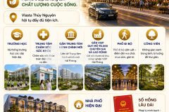 Bỏ hơn 4 tỷ nhận dòng tiền ngay nhà đầu tư đang chọn vlasta thủy nguyên