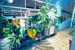Bán căn hộ chung cư, giáp quận 1, gần phan xích long 2pn, 52m², nhỉnh 2 tỷ
