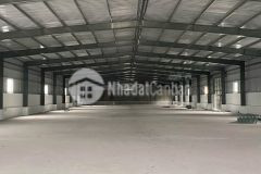 Cho thuê kho xưởng 1.500m² cảng khuyến lương xe cont vào tận nơi