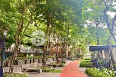 Cho thuê căn hộ chung cư mulberry lane mỗ lao, hà đông 127m 3pn full đồ nhận nhà ở ngay
