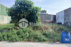 Đất giá rẻ, hóc môn giáp q12 160m² thổ cư hẻm 5m xe hơi chỉ 4.7 tỷ