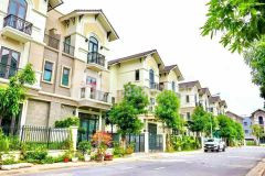 Biệt thự song lập 135m² chỉ 9,x tỷ