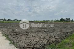 Bán đất thổ cư 5x28 mt nguyễn văn lũy dân cư đông đúc điện nước đầy đủ phù hợp xây ở