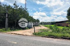 Đất bến cầu tây ninh 11.282m2 chỉ 3ty5, vị trí đẹp, sổ trao tay. chính chủ 0988882003.