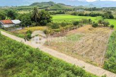 Bán đất khánh bình giá rẻ có thổ cư sát bên tỉnh lộ 8 tặng vườn cây trái view cánh đồng