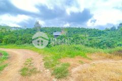Hẻm ql20 hiệp thuận, ninh gia, lâm đồng gần trạm dừng chân lê sáng