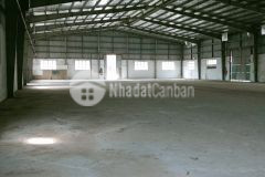 Cho thuê 3.000m² kho xưởng tại xuân nộn, đông anh pccc vách tường, xe container đỗ cửa